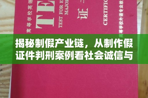金华揭秘制假产业链，从制作假证件判刑案例看社会诚信与法律防线